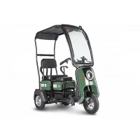 Электрический Трицикл Rutrike Куб Зеленый